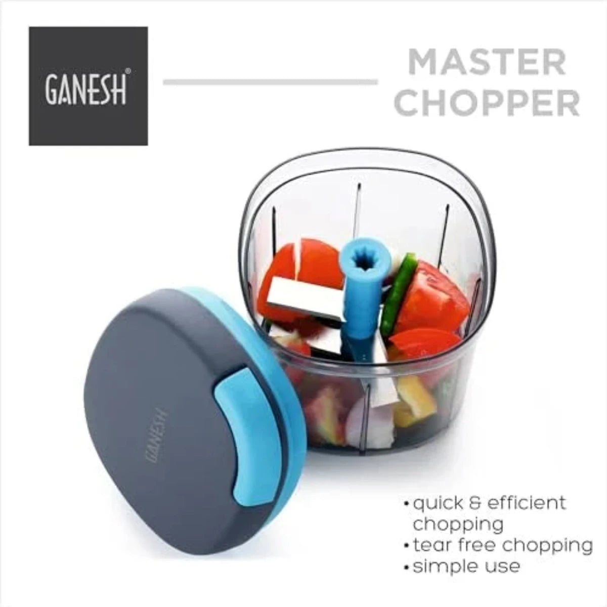 Ganesh Multipurpose Vegetable Master Chopper