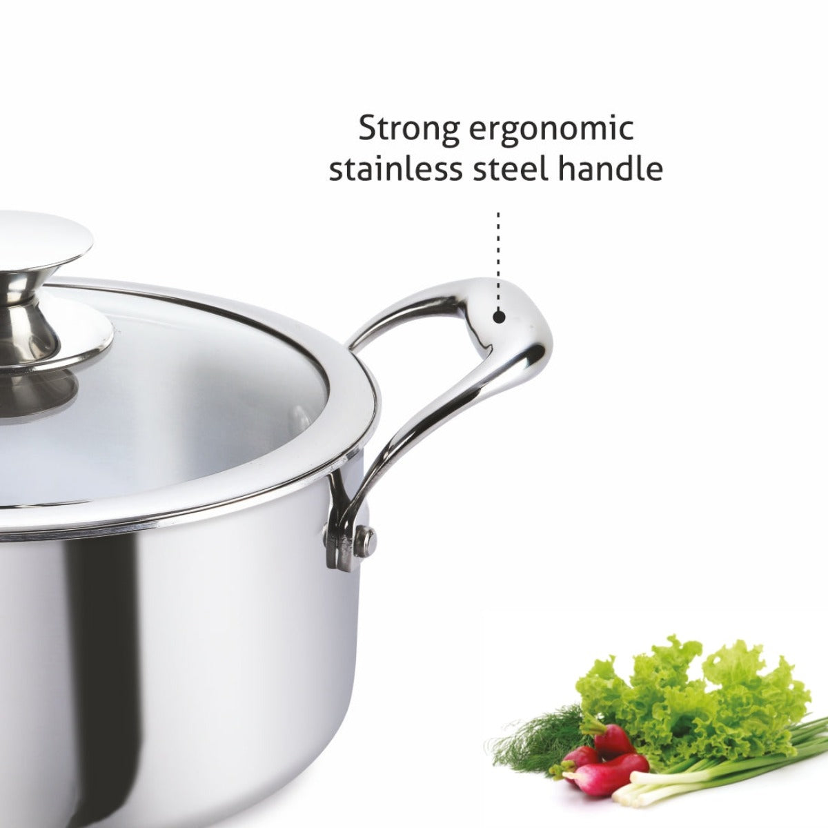 Alda Vitale Triply Stainless-Steel Casserole with Glass Lid