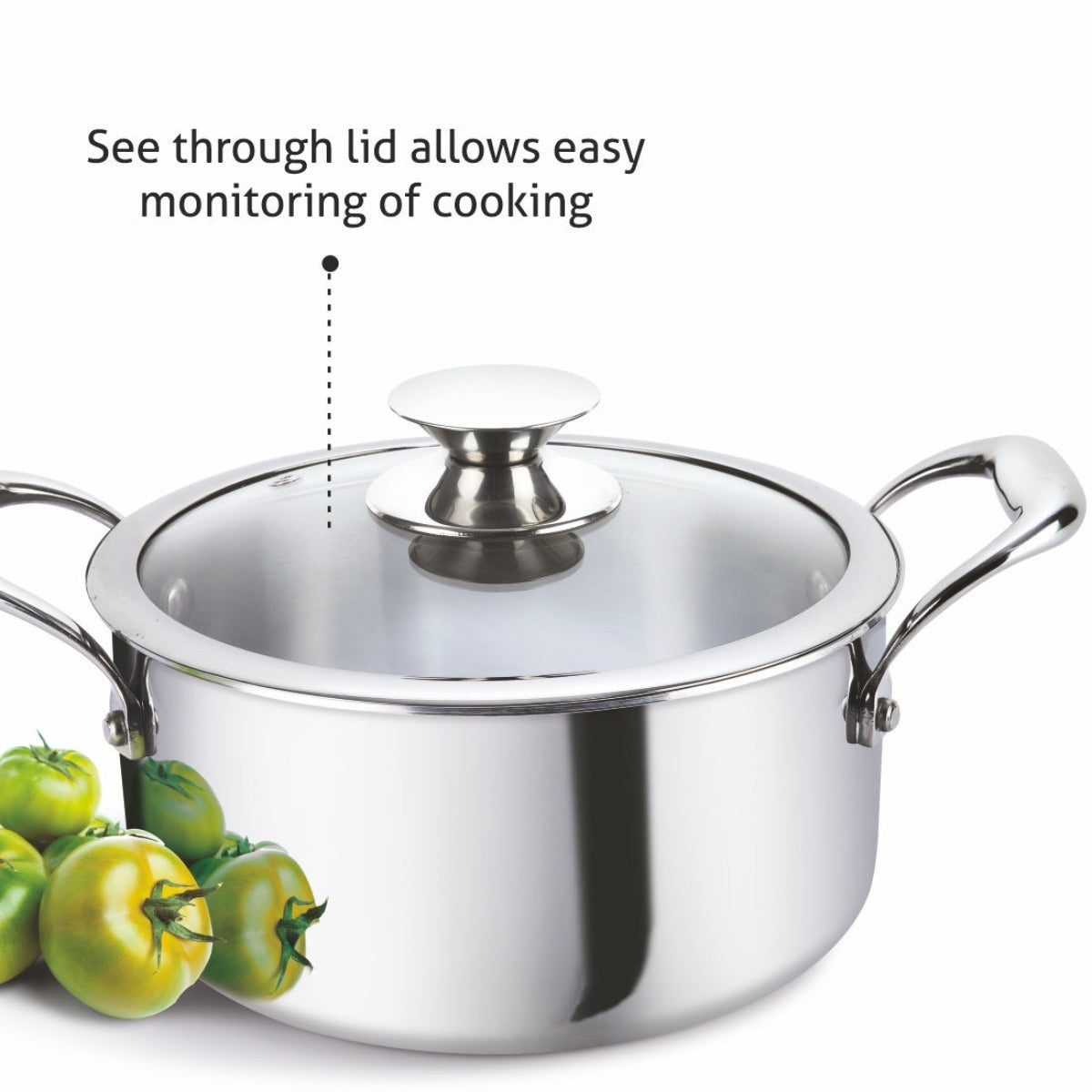 Alda Vitale Triply Stainless-Steel Casserole with Glass Lid